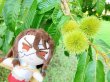 画像3: TVアニメ「Ｄｒ．ＳＴＯＮＥ」 ふわぽにシリーズ フィンガーパペット(獅子王司) (3)