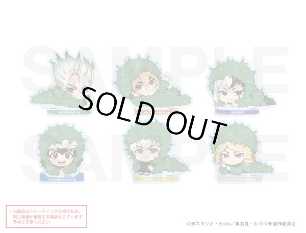 画像1: 【販売期間終了】TVアニメ「Dr.STONE」×きゃらドリ!!2023 ランダム販売ちびキャラアクリルスタンド (1)
