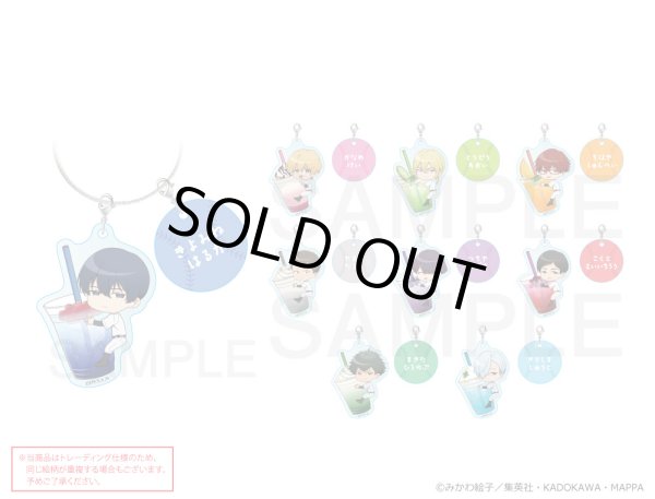 画像1: 【販売期間終了】TVアニメ『忘却バッテリー』×きゃらドリ!! 2024 ランダム販売おなまえアクリルキーホルダー (1)