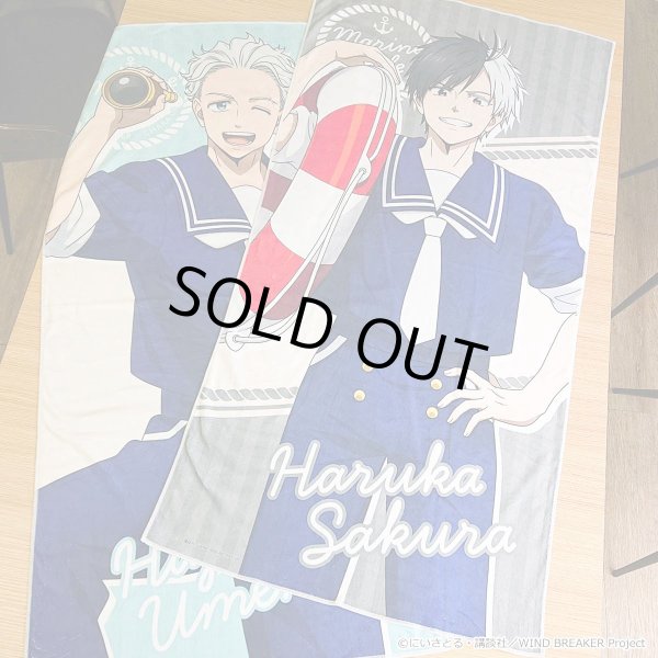 画像7: 【販売期間終了】【通販限定】TVアニメ『WIND BREAKER』×きゃらドリ!! 2024 ビッグタオル (7)