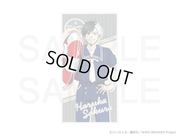 画像2: 【販売期間終了】【通販限定】TVアニメ『WIND BREAKER』×きゃらドリ!! 2024 ビッグタオル (2)