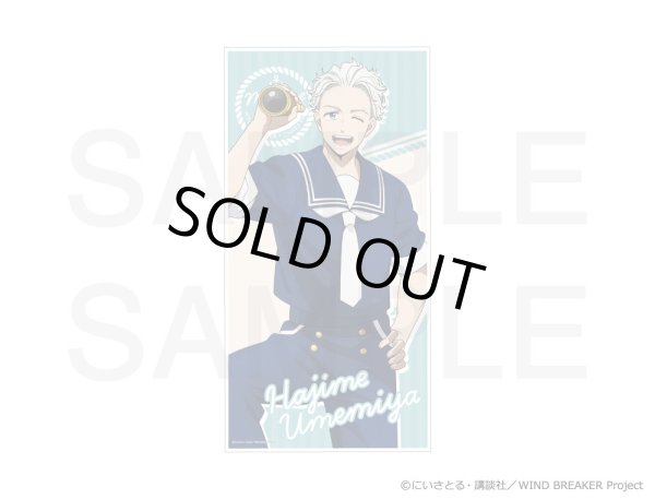 画像6: 【販売期間終了】【通販限定】TVアニメ『WIND BREAKER』×きゃらドリ!! 2024 ビッグタオル (6)