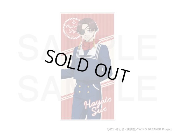 画像3: 【販売期間終了】【通販限定】TVアニメ『WIND BREAKER』×きゃらドリ!! 2024 ビッグタオル (3)