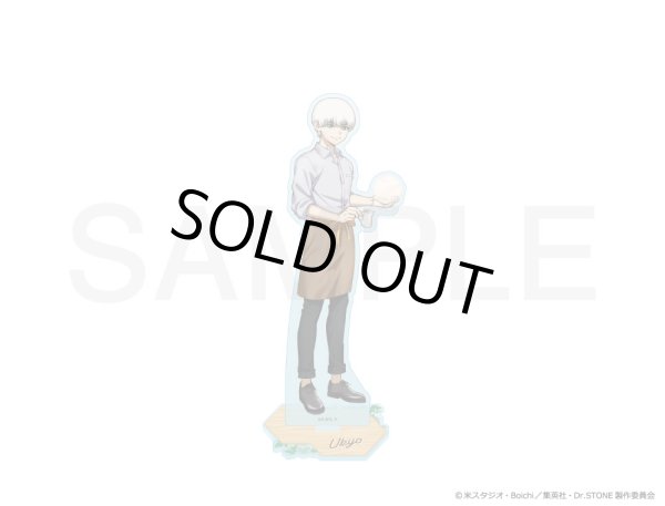 画像1: 【販売期間終了】TVアニメ「Dr.STONE」×COLLABOCAFEHONPO 2024 等身BIGアクリルスタンド(西園寺羽京) (1)