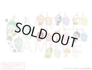 TVアニメ「Dr.STONE」×COLLABOCAFEHONPO 2024 等身BIGアクリルスタンド