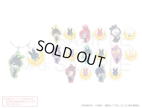 画像1: 【販売期間終了】TVアニメ「ブルーロック」×mixx garden 2024 第2弾 トレーディングおなまえワイヤーキーリング (1)