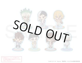 TVアニメ「Dr.STONE」×mixx garden 2025 トレーディング等身BIG