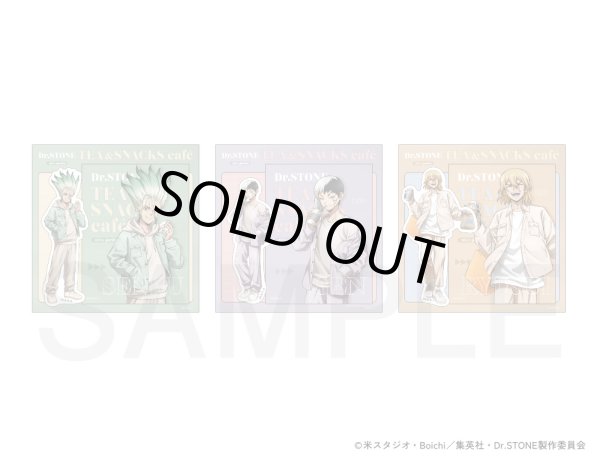 画像2: 【販売期間終了】TVアニメ「Dr.STONE」×mixx garden 2025 等身ステッカーセット(あさぎりゲン) (2)