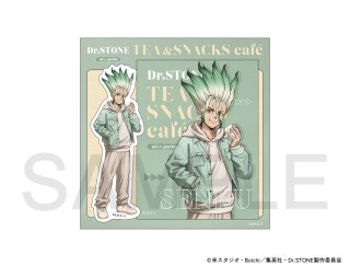TVアニメ「Dr.STONE」×mixx garden 2025 等身ステッカーセット
