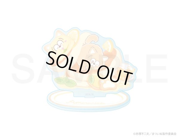 画像1: 【販売期間終了】TVアニメ「まついぬ」×mixx garden 2025 アクリルスタンド(ポメラニアン) (1)