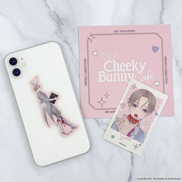 画像3: パーフェクトアディクション×COLLABOCAFEHONPO BLANC 2026 ステッカーセット(高槻 冴) (3)